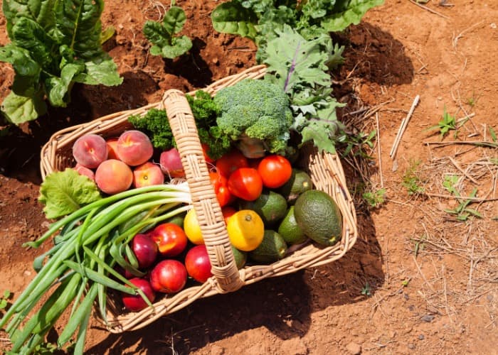 Chef's Choice fresh produce